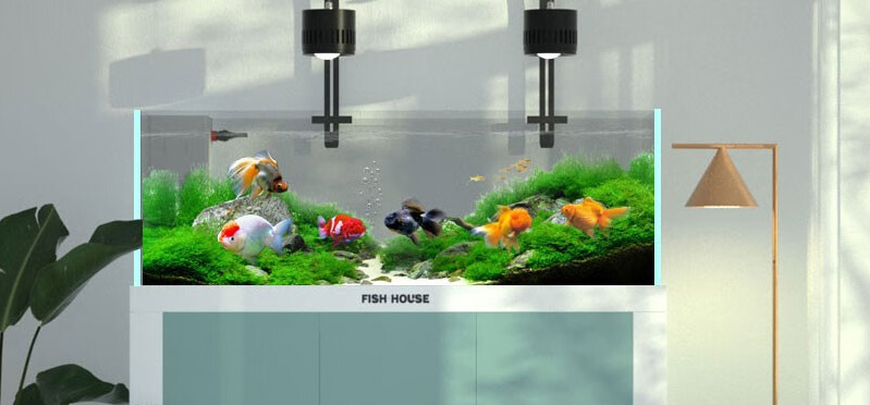 如何選擇過濾器材