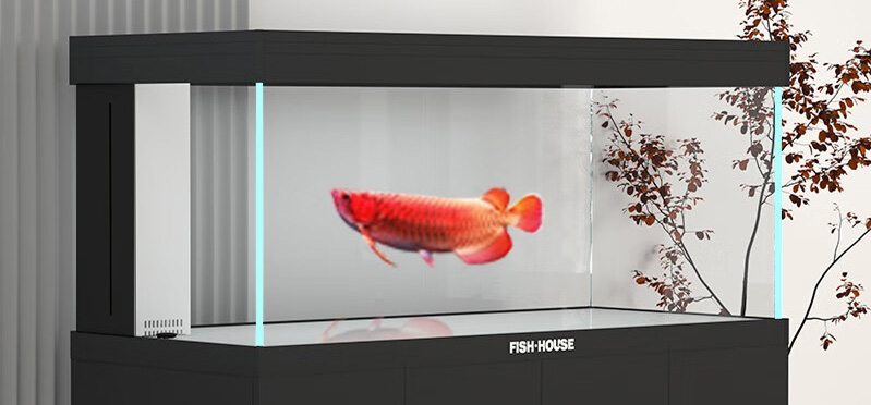 如何選擇合適的水族箱